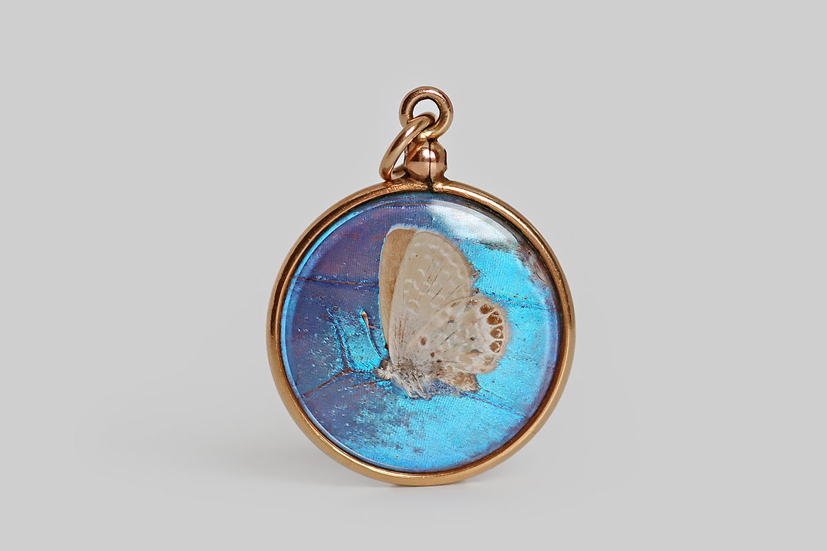 Victorian Morpho Butterfly Wing Moth Locket - Main Image